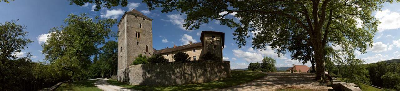 Chateau De Marigna Hotel Eksteriør billede